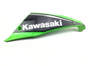 Kawasaki Ninja 650 Seitenverkleidung Verkleidung Bug unten rechts